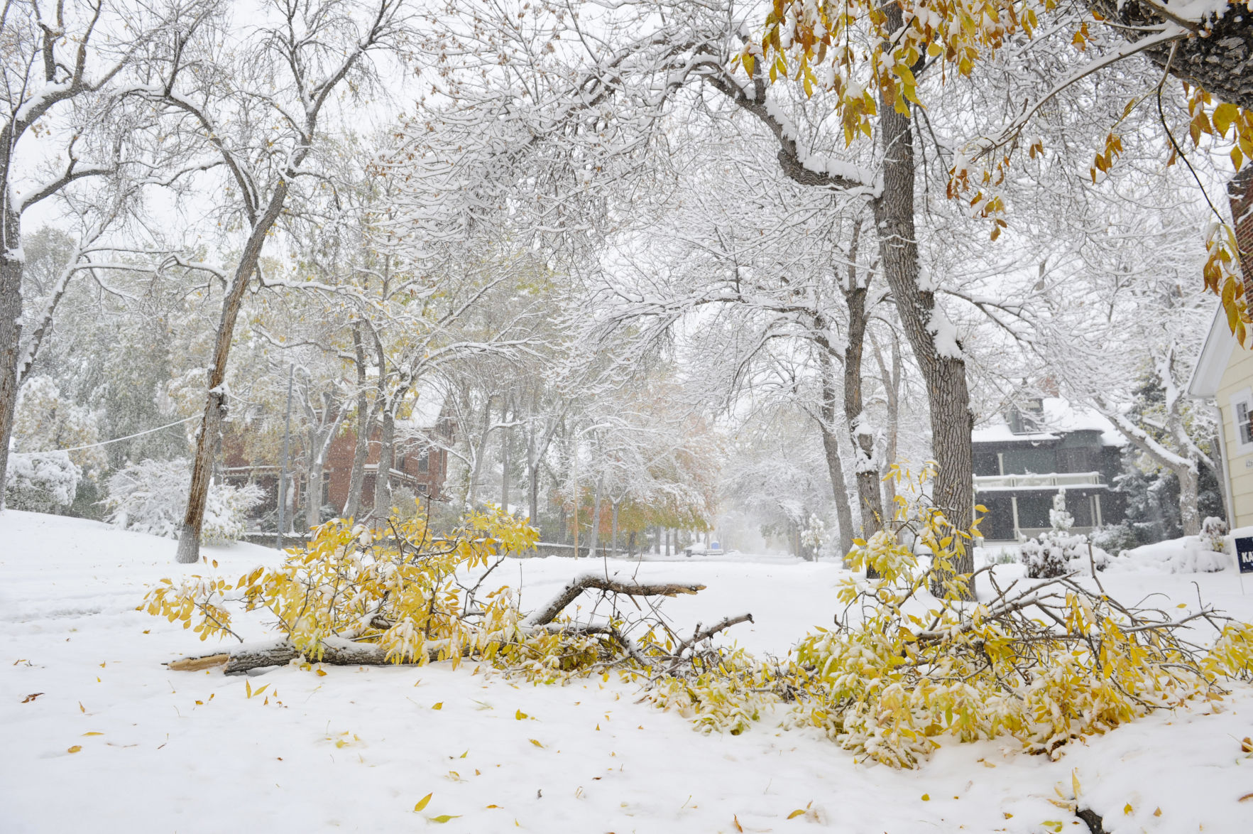 October Snow Storm